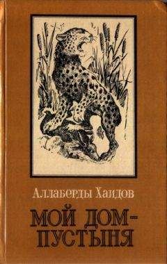Аллаверды Хаидов - Мой дом - пустыня - Читать онлайн Читаемые книги бесплатно booksread-online.com