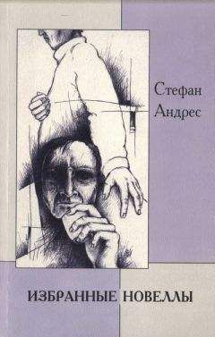 Стефан Андерс - Избранные новеллы - Читать онлайн Читаемые книги бесплатно booksread-online.com
