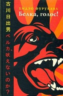 Хидэо Фурукава - Белка, голос! - Читать онлайн Читаемые книги бесплатно booksread-online.com