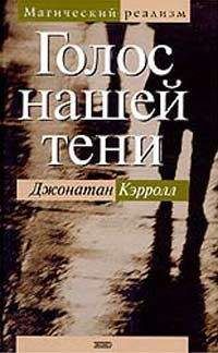 Джонатан Кэрролл - Голос нашей тени - Читать | Читать онлайн | Читаемые книги читать онлайн бесплатно | booksread-online.com
