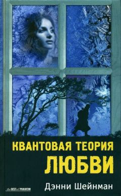 Дэнни Шейнман - Квантовая теория любви - Читать онлайн Читаемые книги бесплатно booksread-online.com