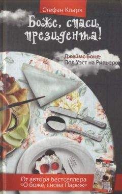 Стефан Кларк - Боже, спаси президента - Читать 📖 Читать онлайн 👀 Читаемые книги читать онлайн бесплатно 🔥 booksread-online.com