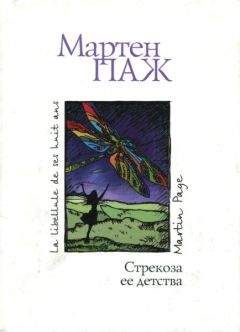 Мартен Паж - Стрекоза ее детства - Читать 📖 Читать онлайн 👀 Читаемые книги читать онлайн бесплатно 🔥 booksread-online.com