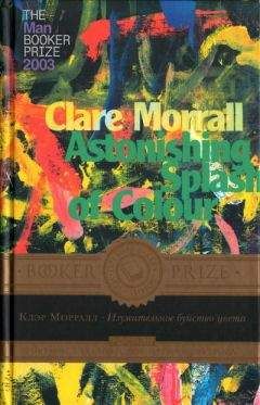 Клэр Морралл - Изумительное буйство цвета - Читать онлайн Читаемые книги бесплатно booksread-online.com