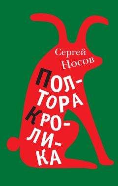 Сергей Носов - Полтора кролика (сборник) - Читать 📖 Читать онлайн 👀 Читаемые книги читать онлайн бесплатно 🔥 booksread-online.com