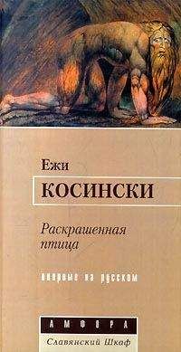 Ежи Косински - Раскрашенная птица - Читать | Читать онлайн | Читаемые книги читать онлайн бесплатно | booksread-online.com