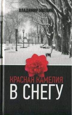Владимир Матлин - Красная камелия в снегу - Читать онлайн Читаемые книги бесплатно booksread-online.com