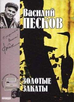 Василий Песков - Полное собрание сочинений. Том 20. Золотые закаты - Читать 📖 Читать онлайн 👀 Читаемые книги читать онлайн бесплатно 🔥 booksread-online.com