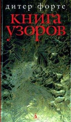 Дитер Форте - Книга узоров - Читать | Читать онлайн | Читаемые книги читать онлайн бесплатно | booksread-online.com