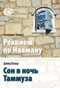 Давид Шахар - Сон в ночь Таммуза - Читать | Читать онлайн | Читаемые книги читать онлайн бесплатно | booksread-online.com