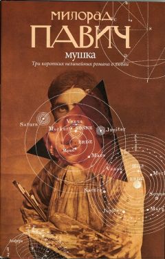 Милорад Павич - Мушка - Читать 📖 Читать онлайн 👀 Читаемые книги читать онлайн бесплатно 🔥 booksread-online.com