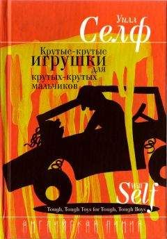 Уилл Селф - Крутые-крутые игрушки для крутых-крутых мальчиков - Читать 📖 Читать онлайн 👀 Читаемые книги читать онлайн бесплатно 🔥 booksread-online.com