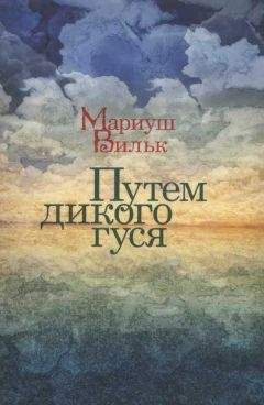 Мариуш Вильк - Путем дикого гуся - Читать | Читать онлайн | Читаемые книги читать онлайн бесплатно | booksread-online.com