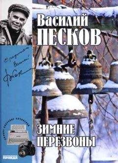 Василий Песков - Полное собрание сочинений. Том 17. Зимние перезвоны - Читать 📖 Читать онлайн 👀 Читаемые книги читать онлайн бесплатно 🔥 booksread-online.com
