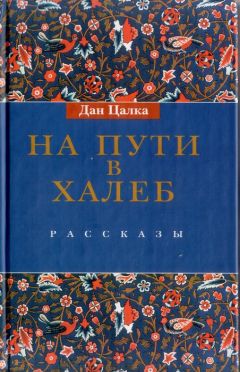 Дан Цалка - На пути в Халеб - Читать 📖 Читать онлайн 👀 Читаемые книги читать онлайн бесплатно 🔥 booksread-online.com