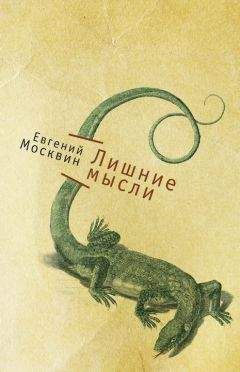 Евгений Москвин - Лишние мысли - Читать 📖 Читать онлайн 👀 Читаемые книги читать онлайн бесплатно 🔥 booksread-online.com
