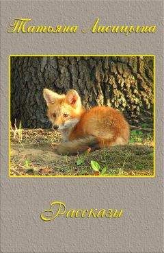 Татьяна Лисицына - Рассказы (СИ) - Читать 📖 Читать онлайн 👀 Читаемые книги читать онлайн бесплатно 🔥 booksread-online.com