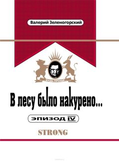 Валерий Зеленогорский - В лесу было накурено - Читать 📖 Читать онлайн 👀 Читаемые книги читать онлайн бесплатно 🔥 booksread-online.com