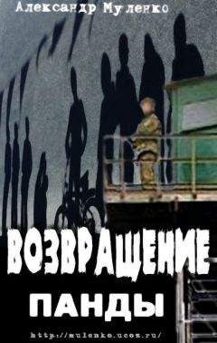 Александр Муленко - Возвращение Панды - Читать онлайн Читаемые книги бесплатно booksread-online.com