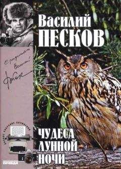 Василий Песков - Полное собрание сочинений. Том 15. Чудеса лунной ночи - Читать 📖 Читать онлайн 👀 Читаемые книги читать онлайн бесплатно 🔥 booksread-online.com
