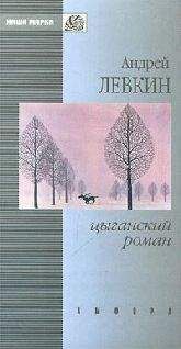 Андрей Левкин - Цыганский роман (повести и рассказы) - Читать 📖 Читать онлайн 👀 Читаемые книги читать онлайн бесплатно 🔥 booksread-online.com