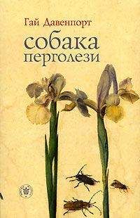 Гай Давенпорт - Собака Перголези - Читать 📖 Читать онлайн 👀 Читаемые книги читать онлайн бесплатно 🔥 booksread-online.com