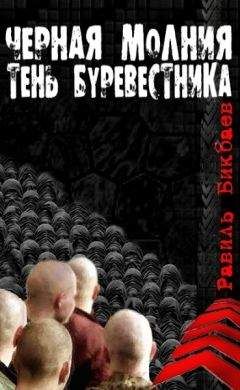 Равиль Бикбаев - Черная молния. Тень буревестника. - Читать 📖 Читать онлайн 👀 Читаемые книги читать онлайн бесплатно 🔥 booksread-online.com