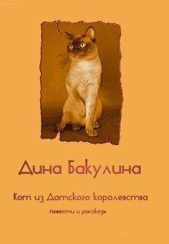 Дина Бакулина - Кот из Датского королевства - Читать 📖 Читать онлайн 👀 Читаемые книги читать онлайн бесплатно 🔥 booksread-online.com