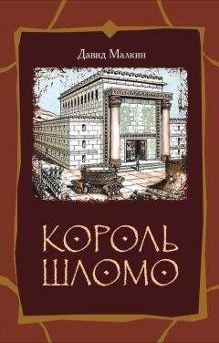 Давид Малкин - Король Шломо - Читать | Читать онлайн | Читаемые книги читать онлайн бесплатно | booksread-online.com