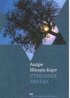 Андре Шварц-Барт - Утренняя звезда - Читать | Читать онлайн | Читаемые книги читать онлайн бесплатно | booksread-online.com