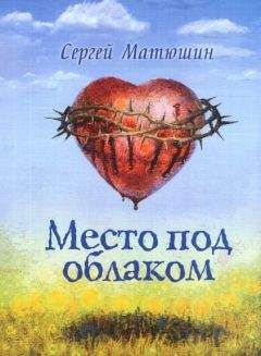 Сергей Матюшин - Место под облаком - Читать Читать онлайн Читаемые книги читать онлайн бесплатно booksread-online.com