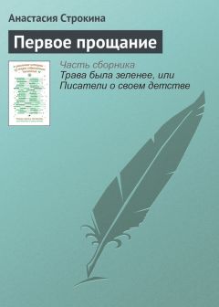 Анастасия Строкина - Первое прощание - Читать | Читать онлайн | Читаемые книги читать онлайн бесплатно | booksread-online.com