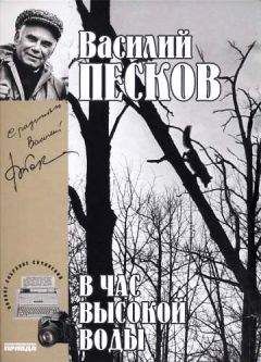 Василий Песков - Полное собрание сочинений. Том 16. В час высокой воды - Читать 📖 Читать онлайн 👀 Читаемые книги читать онлайн бесплатно 🔥 booksread-online.com
