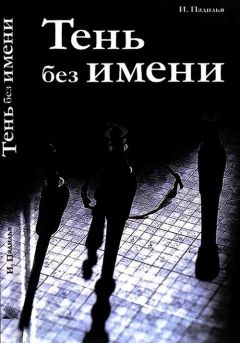 Игнасио Падилья - Тень без имени - Читать Читать онлайн Читаемые книги читать онлайн бесплатно booksread-online.com