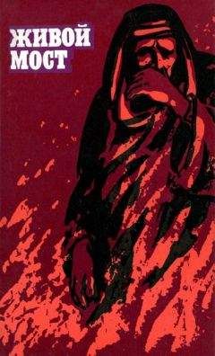 Сулейман Файяд - Живой мост - Читать Читать онлайн Читаемые книги читать онлайн бесплатно booksread-online.com