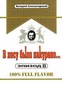 Валерий Зеленогорский - В лесу было накурено Эпизод 2 - Читать 📖 Читать онлайн 👀 Читаемые книги читать онлайн бесплатно 🔥 booksread-online.com