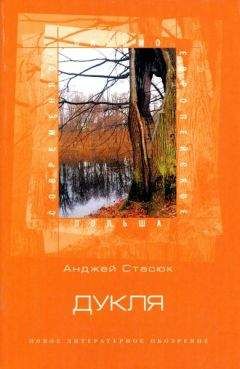Анджей Стасюк - Дукля - Читать 📖 Читать онлайн 👀 Читаемые книги читать онлайн бесплатно 🔥 booksread-online.com