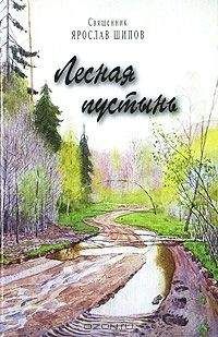 Ярослав Шипов - Лесная пустынь - Читать 📖 Читать онлайн 👀 Читаемые книги читать онлайн бесплатно 🔥 booksread-online.com