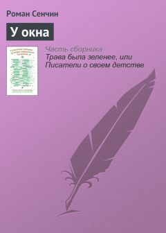 Роман Сенчин - У окна - Читать 📖 Читать онлайн 👀 Читаемые книги читать онлайн бесплатно 🔥 booksread-online.com