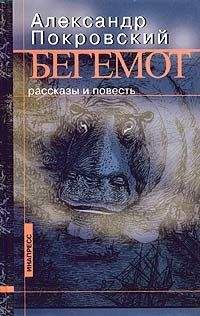Александр Покровский - Метаболизм (сборник рассказов) - Читать | Читать онлайн | Читаемые книги читать онлайн бесплатно | booksread-online.com
