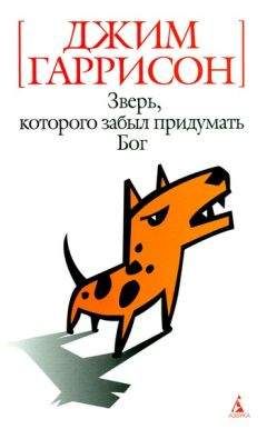 Джим Гаррисон - Я забыл поехать в Испанию - Читать | Читать онлайн | Читаемые книги читать онлайн бесплатно | booksread-online.com