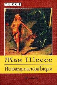 Жак Шессе - Исповедь пастора Бюрга - Читать 📖 Читать онлайн 👀 Читаемые книги читать онлайн бесплатно 🔥 booksread-online.com