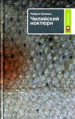 Роберто Боланьо - Далекая звезда - Читать 📖 Читать онлайн 👀 Читаемые книги читать онлайн бесплатно 🔥 booksread-online.com