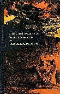 Григорий Полянкер - Президент - Читать 📖 Читать онлайн 👀 Читаемые книги читать онлайн бесплатно 🔥 booksread-online.com