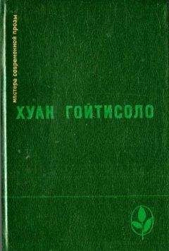 Хуан Гойтисоло - Дон Кихот, Дон Хуан и Селестина - Читать | Читать онлайн | Читаемые книги читать онлайн бесплатно | booksread-online.com