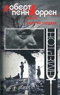 Роберт Уоррен - Невстревоженные острова - Читать 📖 Читать онлайн 👀 Читаемые книги читать онлайн бесплатно 🔥 booksread-online.com
