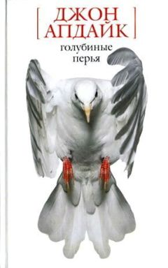 Джон Апдайк - Под защитой - Читать 📖 Читать онлайн 👀 Читаемые книги читать онлайн бесплатно 🔥 booksread-online.com