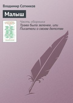 Владимир Сотников - Малыш - Читать 📖 Читать онлайн 👀 Читаемые книги читать онлайн бесплатно 🔥 booksread-online.com