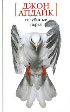 Джон Апдайк - Снегопад в Гринвич-Виллидж - Читать 📖 Читать онлайн 👀 Читаемые книги читать онлайн бесплатно 🔥 booksread-online.com