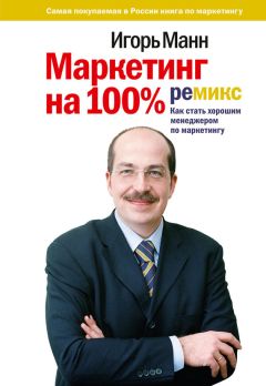 Игорь Манн - Маркетинг на 100%: ремикс: Как стать хорошим менеджером по маркетингу - Читать 📖 Читать онлайн 👀 Читаемые книги читать онлайн бесплатно 🔥 booksread-online.com